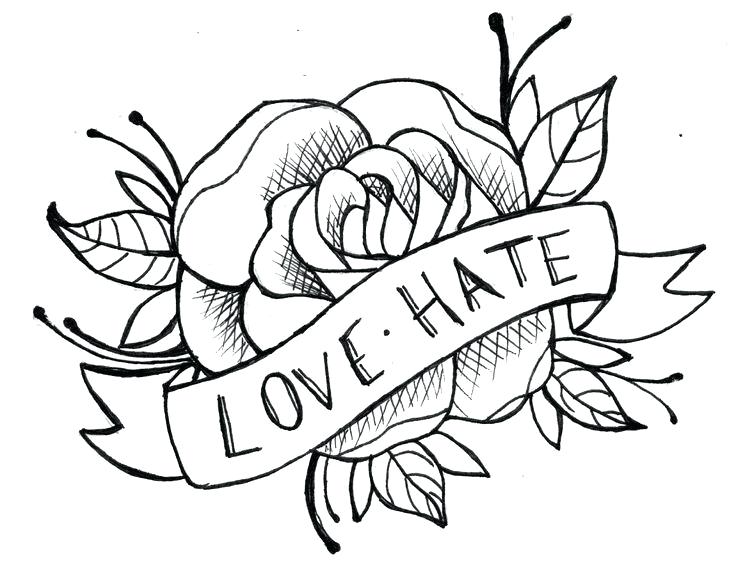 736x570 Beautiful Rose Drawings