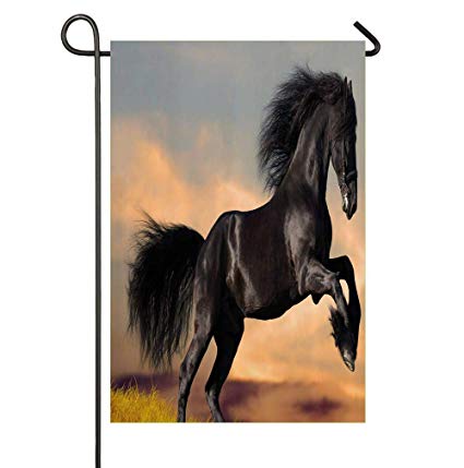 425x429 Smallgardenflagmim Western Wildlife Theme Friesian