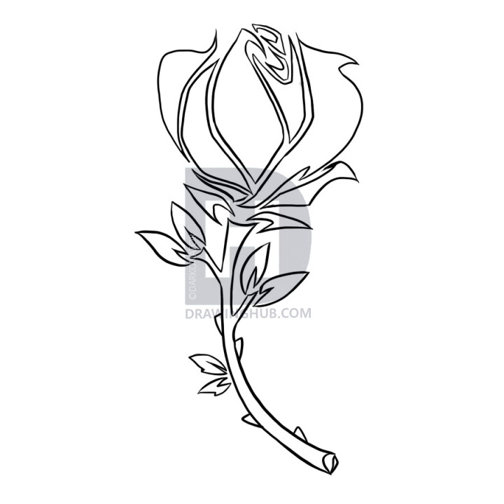 720x720 How To Draw Beauty And The Beast Rose Beautiful How To Draw