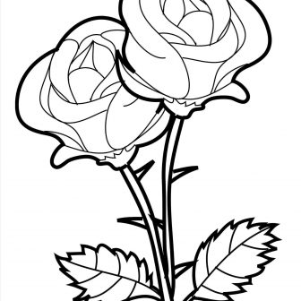 336x336 Beauty And The Beast Drawing Of Rose In Glass Pencil