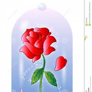 300x300 Beauty And The Beast Rose Drawing Step