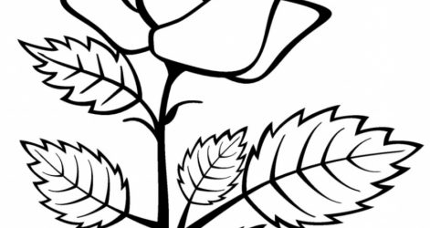 471x250 Beauty And The Beast Rose Drawing Tutorial Of Step From Easy