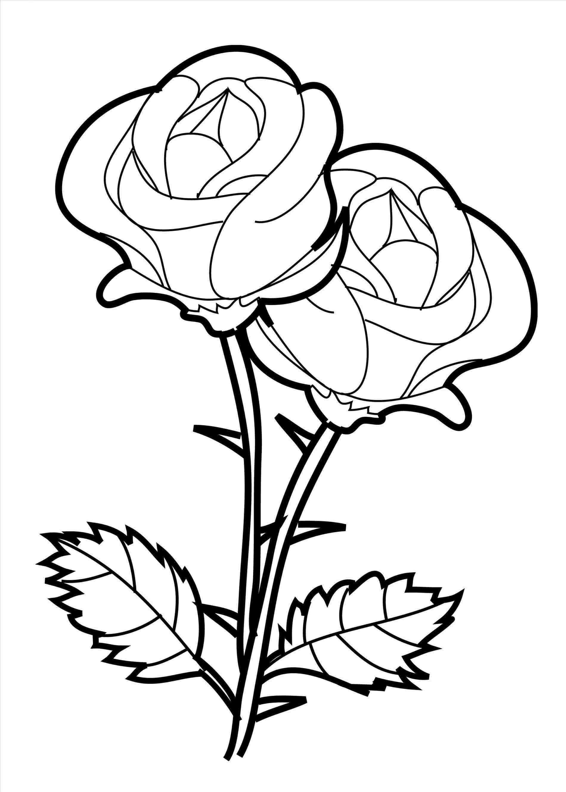 Beauty And The Beast Rose Drawing | Free download on ClipArtMag
