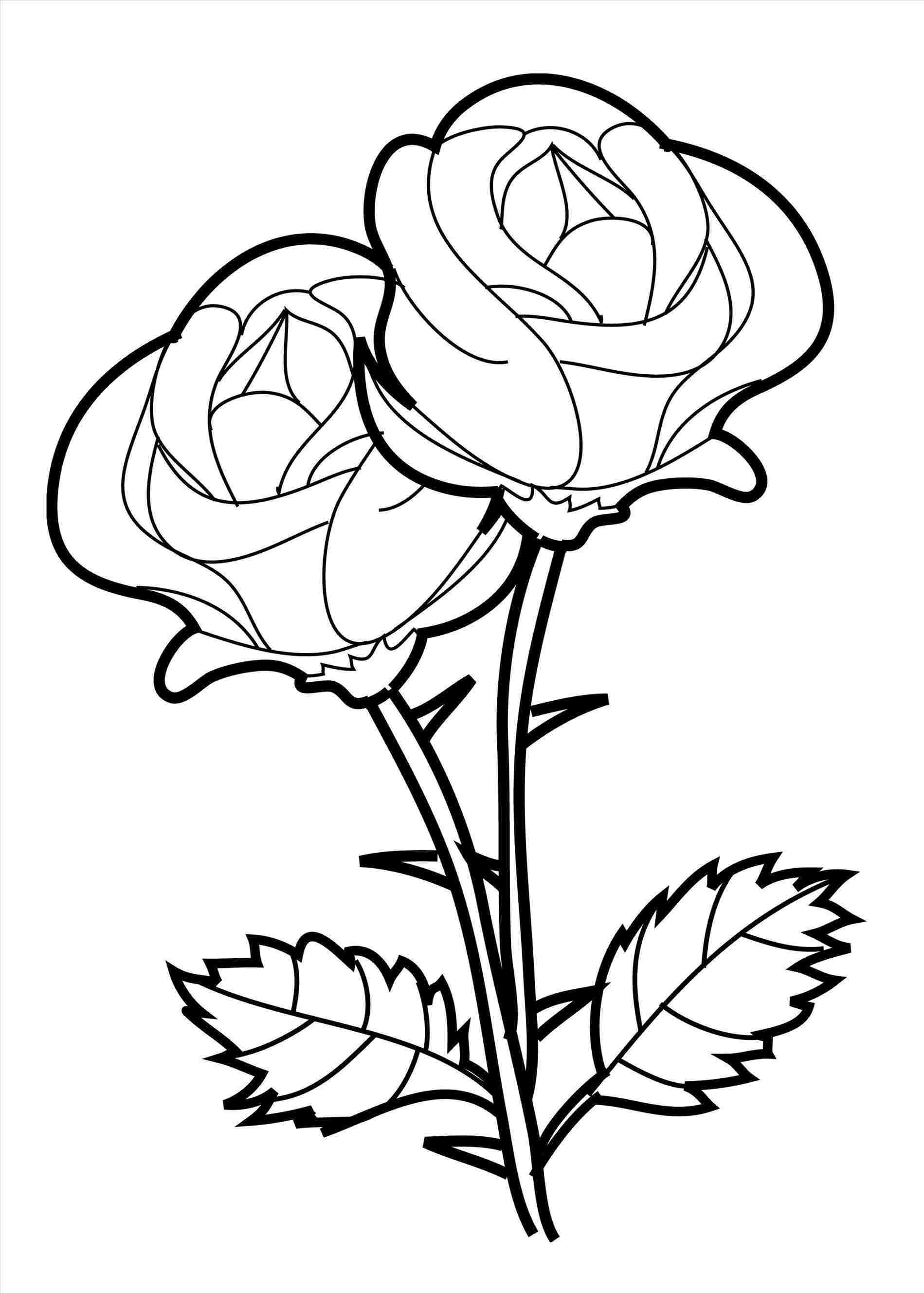 1899x2657 Free For Rhgetdrawingscom Beauty Beauty And The Beast Rose Drawing