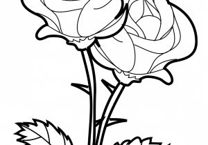 300x210 Rose Drawings In Black And White Step
