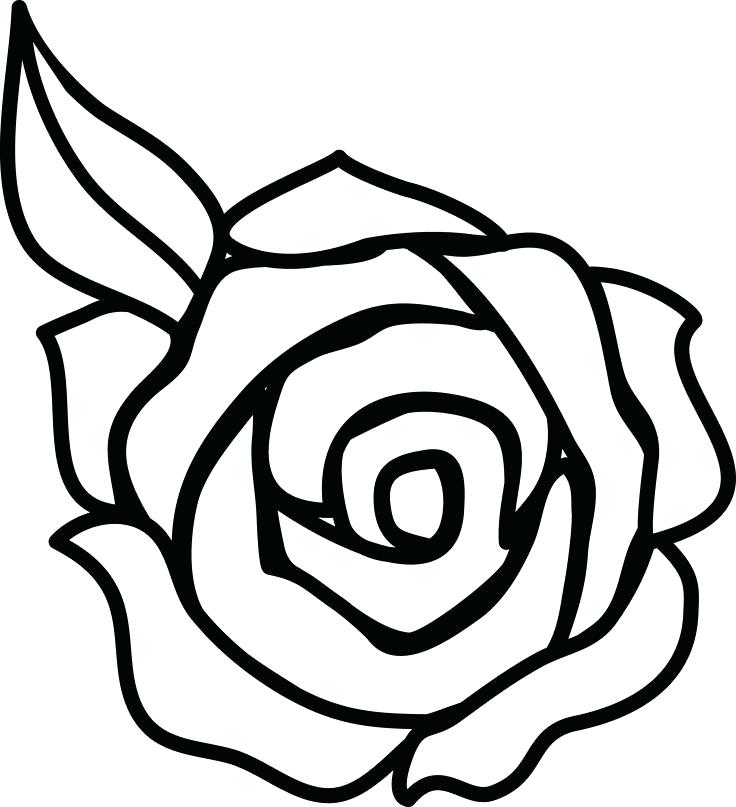 736x807 How To Draw A Rose Cartoon