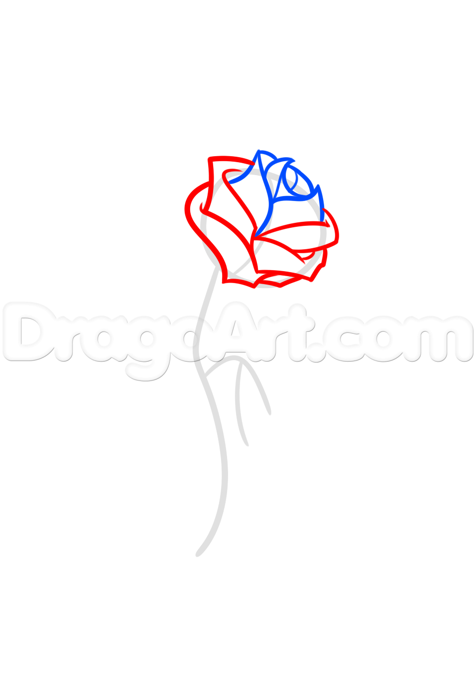 956x1371 beauty and the beast rose drawing beauty and the beast rose