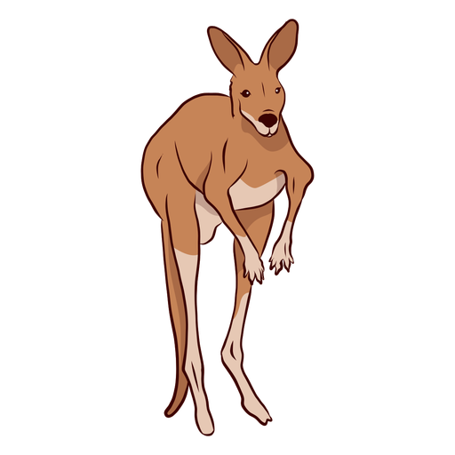512x512 Drawing Kangaroos Beaver Transparent Png Clipart Free Download