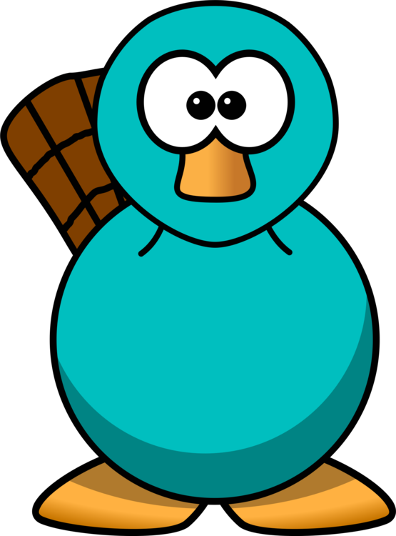 555x750 Hd Perry The Platypus Cartoon Beaver Drawing