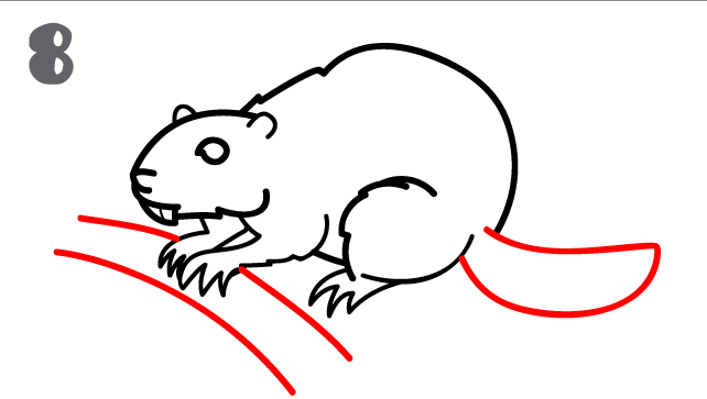 642x363 How To Draw A Beaver