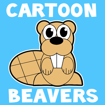 345x345 How To Draw A Cartoon Beaver With Easy Step