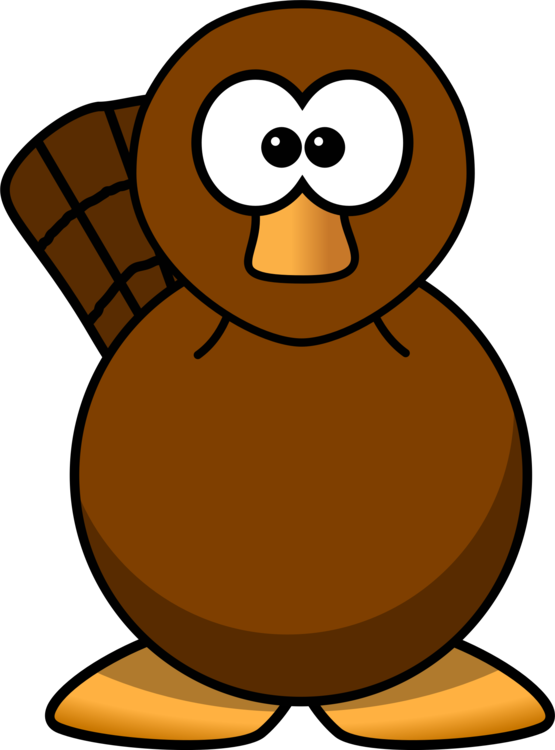 555x750 Perry The Platypus Cartoon Beaver Drawing Cc0