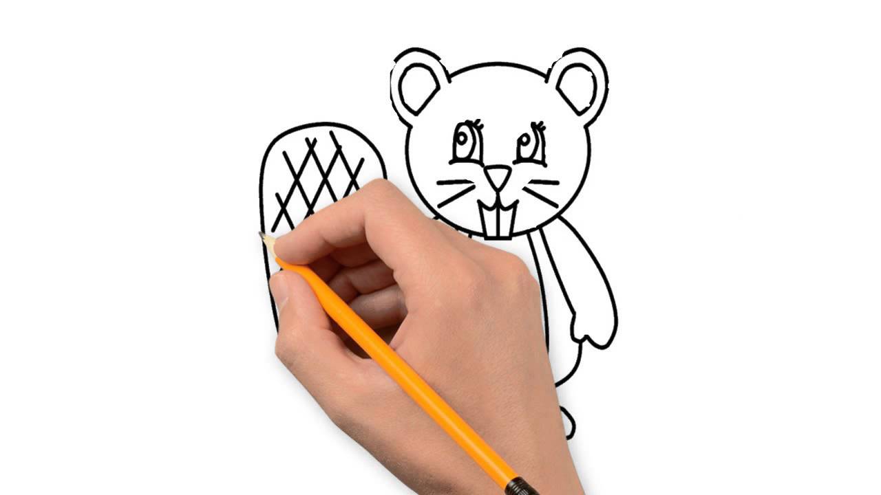 1280x720 Beaver Animals Pencil To Draw Step