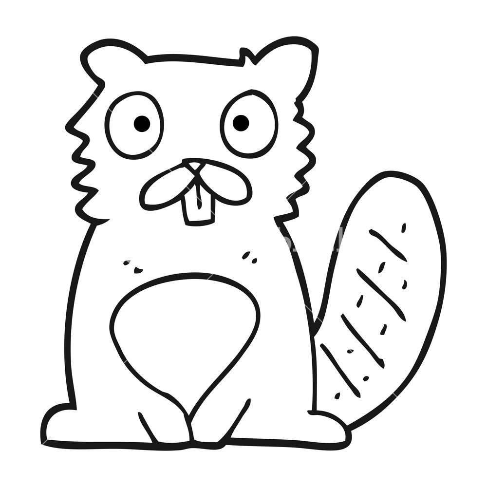 1000x1000 Freehand Drawn Black And White Cartoon Beaver Royalty Free Stock