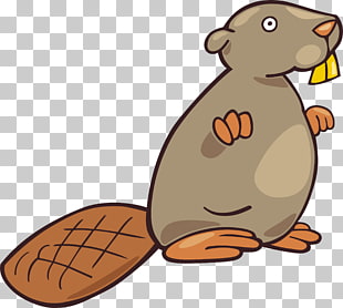 310x278 Beaver Drawing Biscuit Png Clipart Free Cliparts Uihere