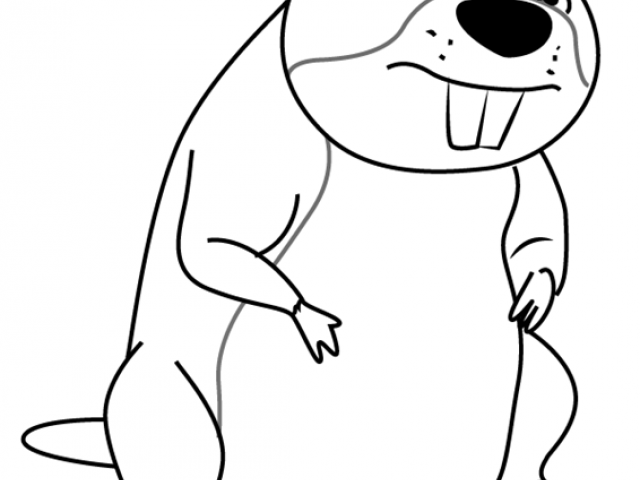 640x480 Drawn Beaver Drawing