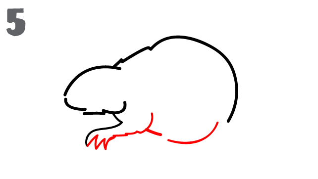 642x362 How To Draw A Beaver