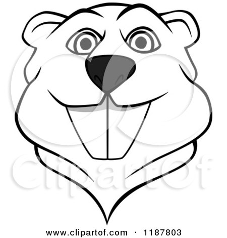 450x470 How To Draw A Beaver Face