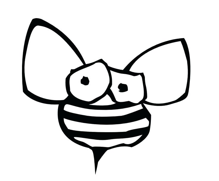 736x608 Bumble Bee Drawing Cartoon Bumble Bee Black And White Bumblebee