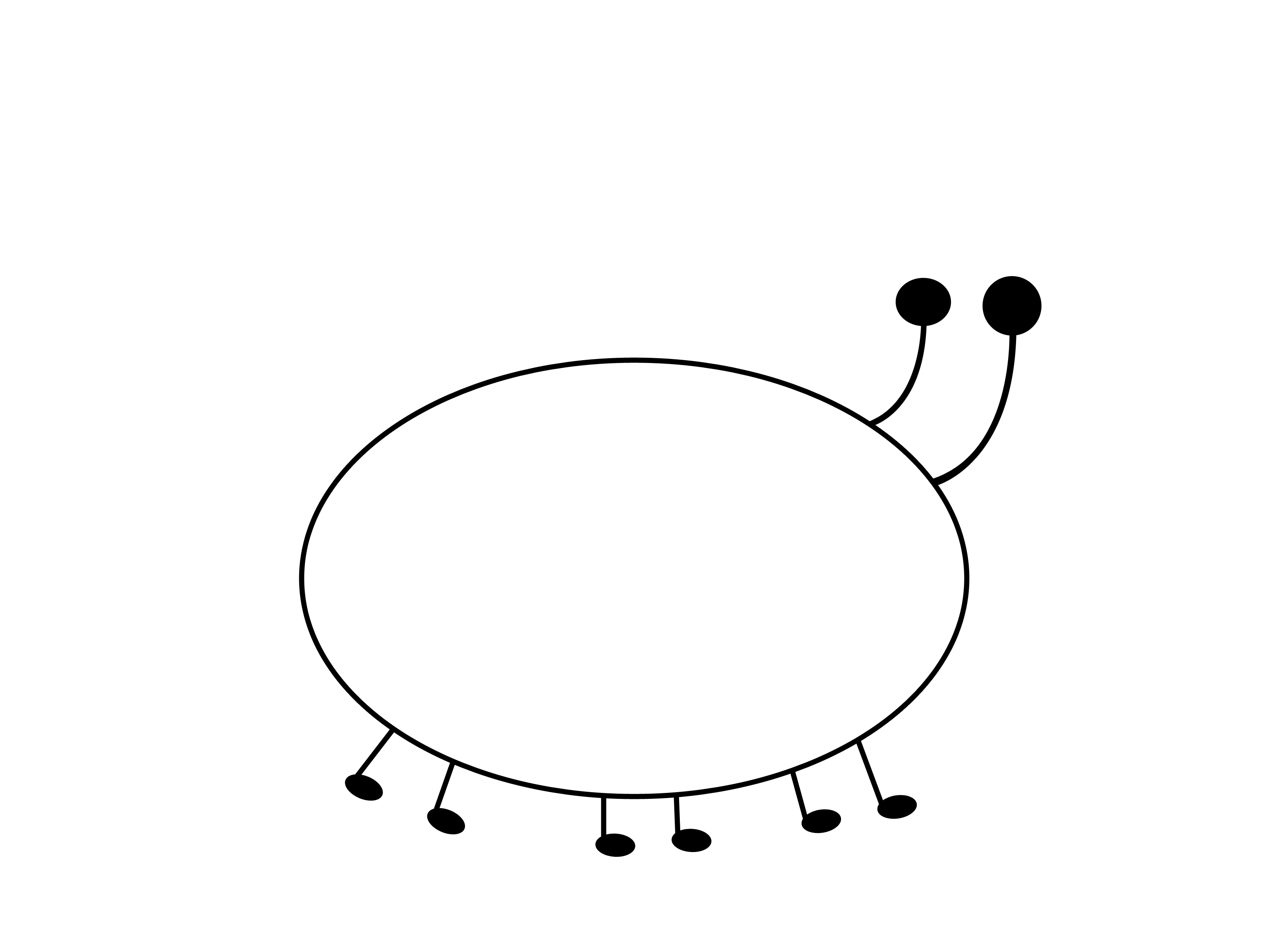 3200x2400 How To Draw A Cartoon Bee Steps