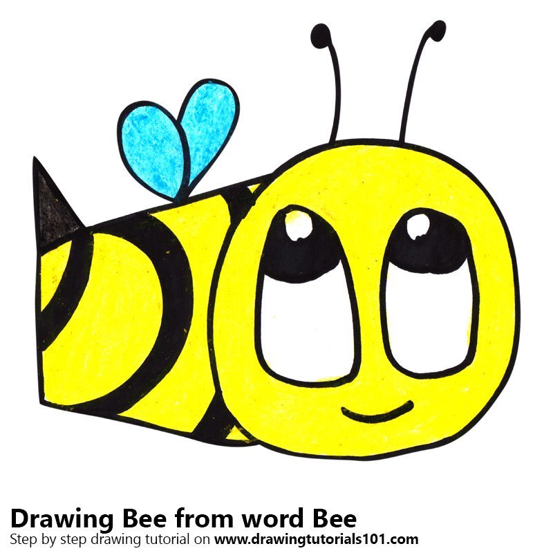 800x800 Learn How To Draw A Bee From Word Bee