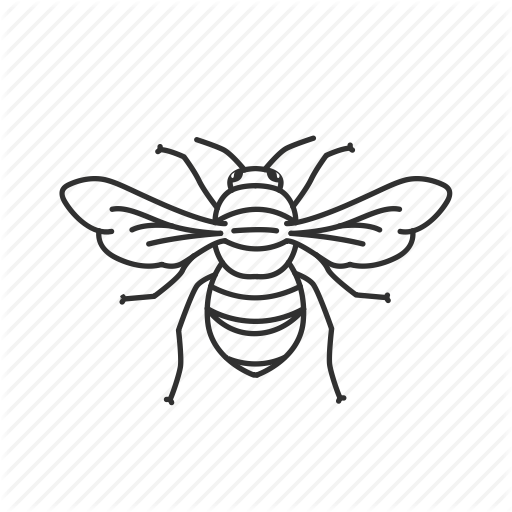 512x512 Bee, Drawing, Graphics, Transparent Png Image Clipart Free Download