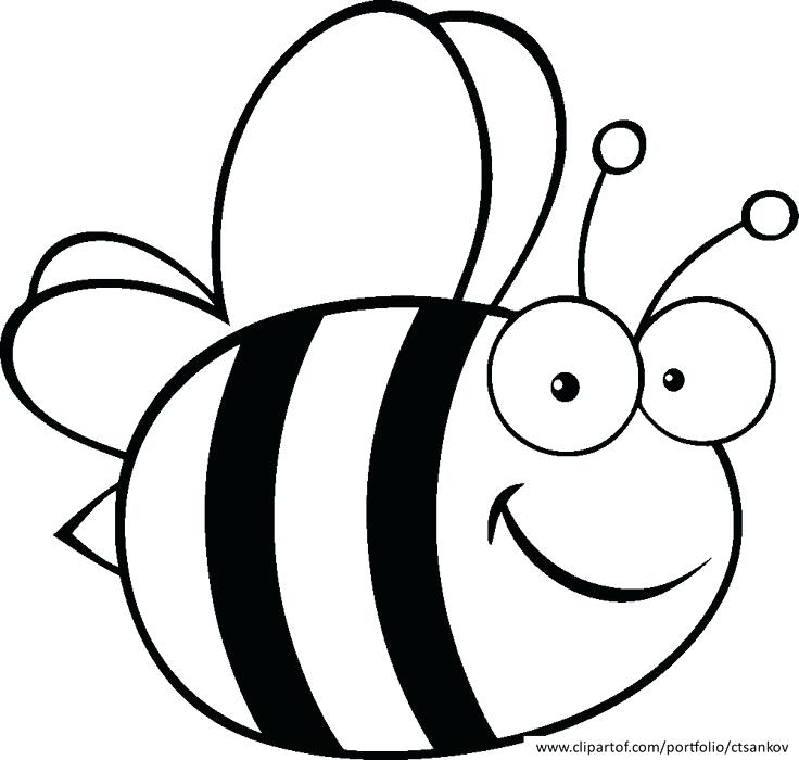 736x700 Bee Drawings Drawing Bee Bumble Bee Drawing Designs