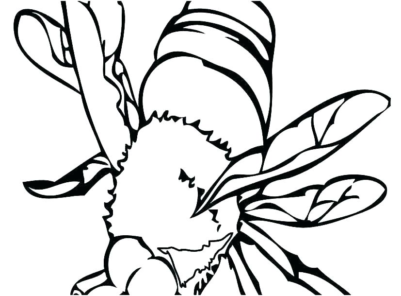 827x609 Bee Line Art License Personal Use Coloring