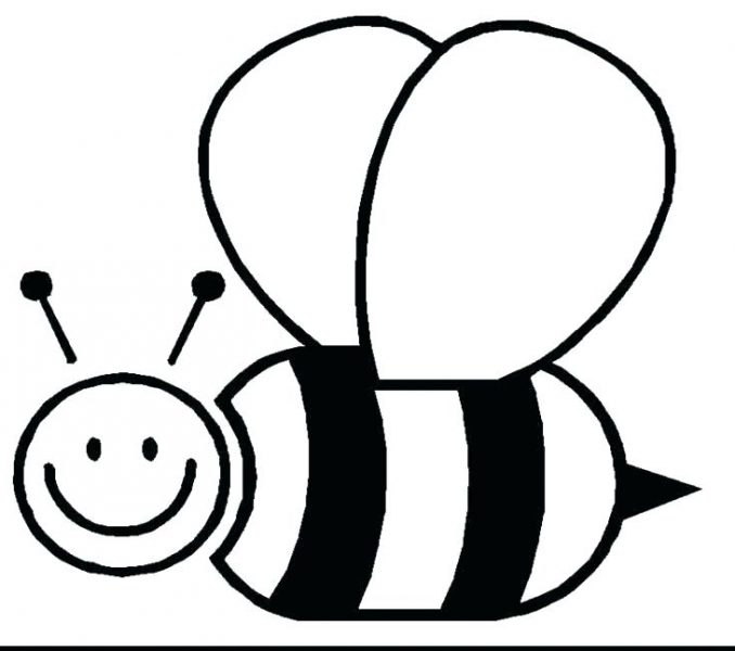 678x600 Bumble Bee Outline Bee Line Drawing