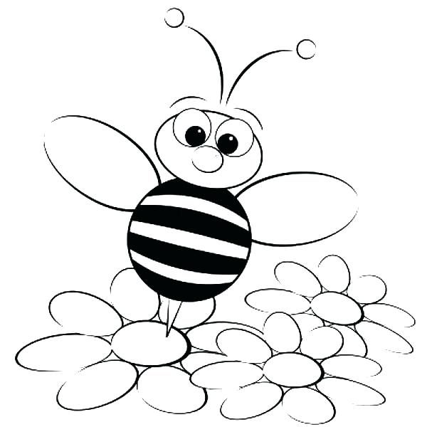 600x600 Honey Bee Coloring Pages Awesome Honey Bee Line Drawing