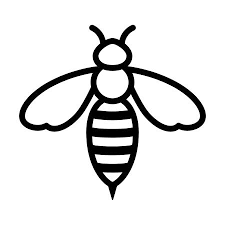 225x225 Image Result For Honey Bee Line Drawing Color In Bee