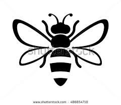 240x210 Image Result For Honey Bee Line Drawing Rocks Bee Design