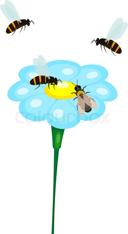 440x800 Bee And A Blue Flower On A White Stock Vector Colourbox
