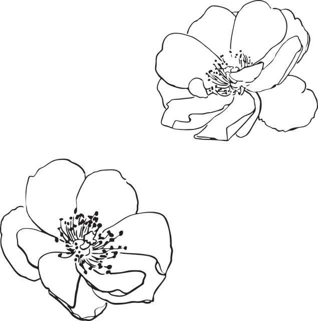 635x640 Collection Of Free Bee Drawing Floral Download On Ui Ex