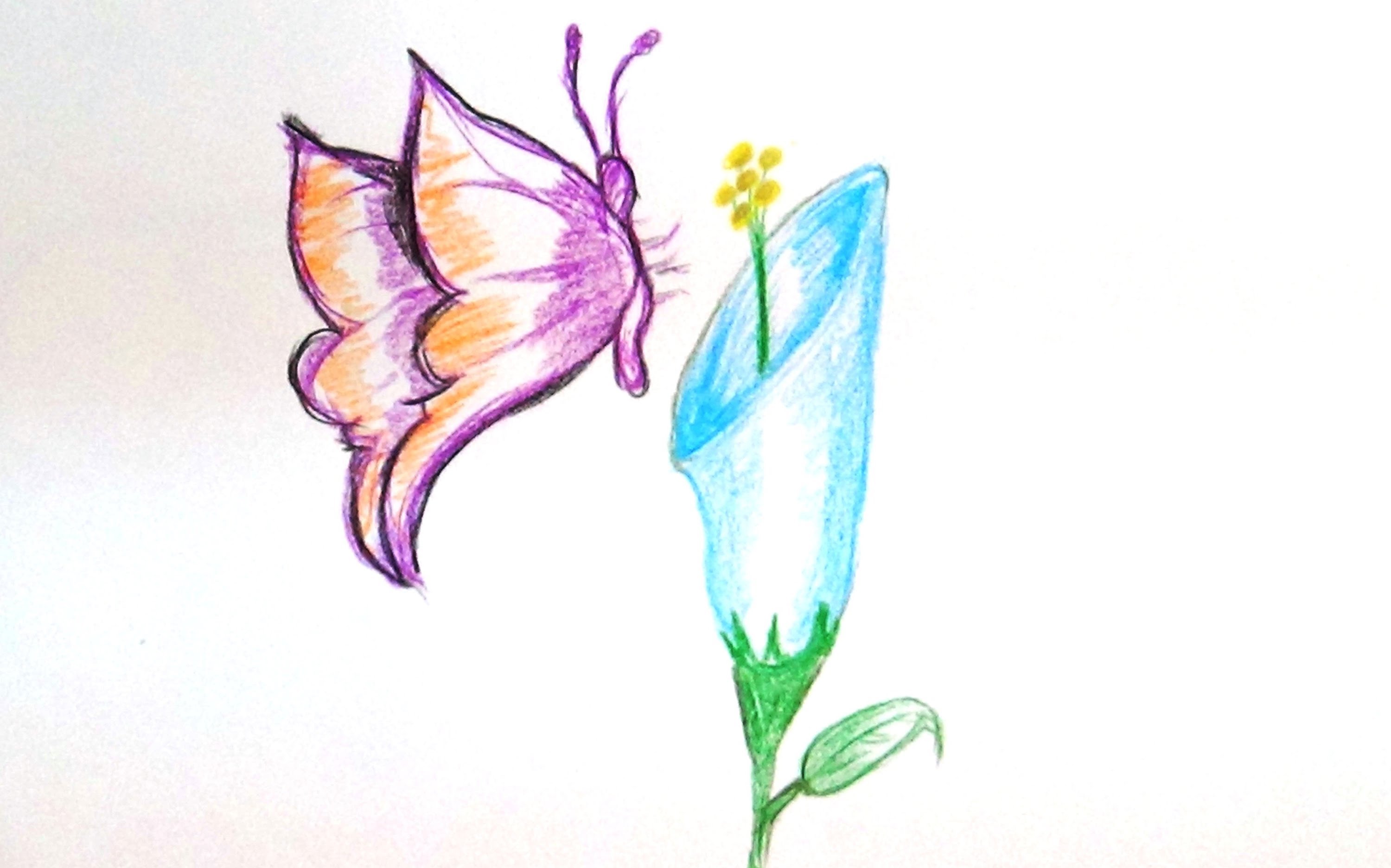 3000x1873 Drawn Bee Flower Drawing