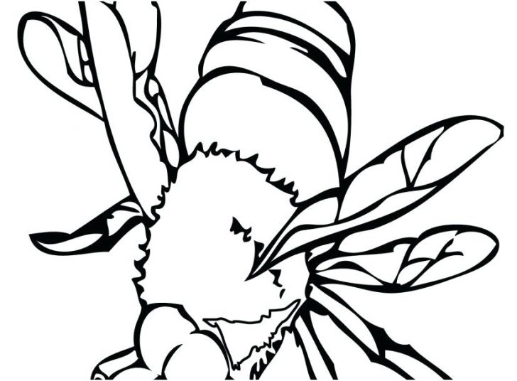 728x536 Coloring Pages Disney Moana Halloween Pumpkin Zombies Bee Sheet