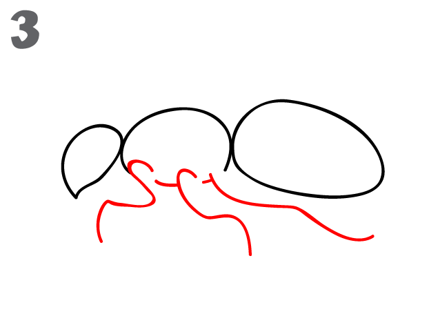 622x484 How To Draw A Bee