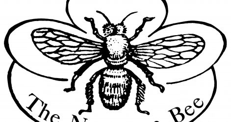 471x250 Queen Bee Easy Drawing Tags Bearded Dragon Drawing Bedroom Bear