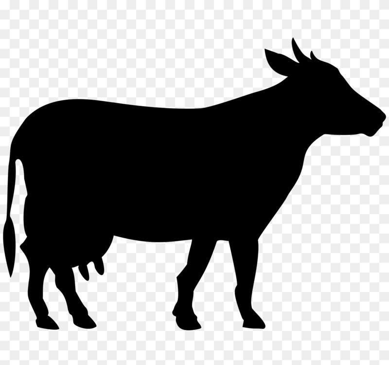 800x750 beef cattle white park cattle sticker drawing computer icons cc0