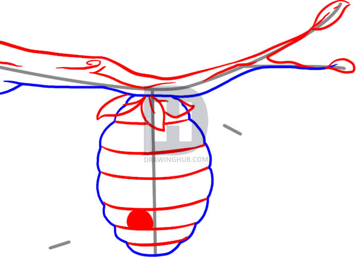 693x501 How To Draw A Beehive, Step
