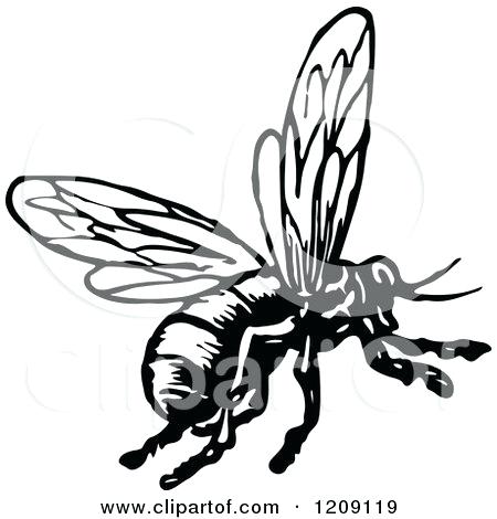450x470 Bee Drawings Bee Drawing Beehive Drawing Easy