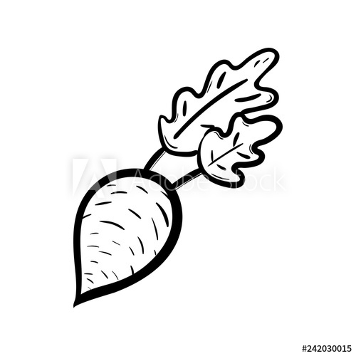 500x500 handdrawn beet doodle icon hand drawn black sketch sign symbol