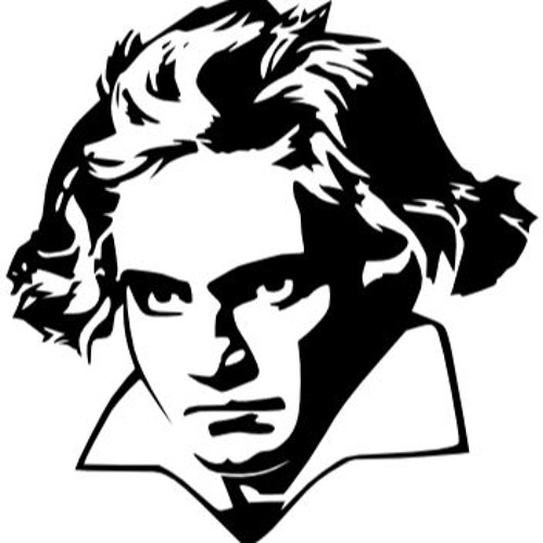 500x500 beethoven stretched