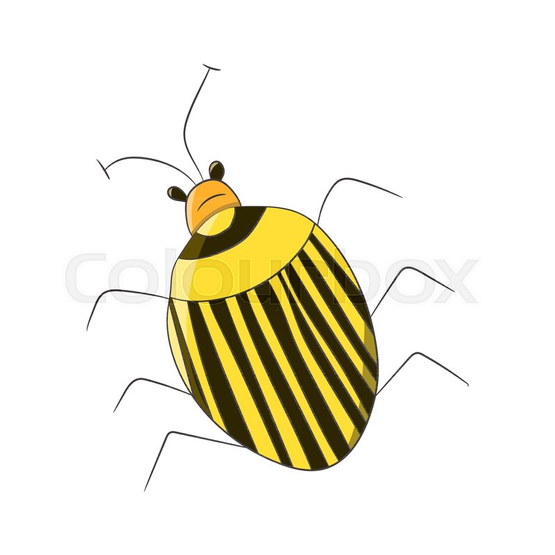800x800 Bright Striped Yellow Beetle In The Stock Vector Colourbox