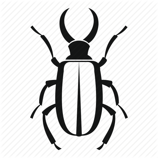 512x512 Drawing Insect Ground Beetle Transparent Png Clipart Free