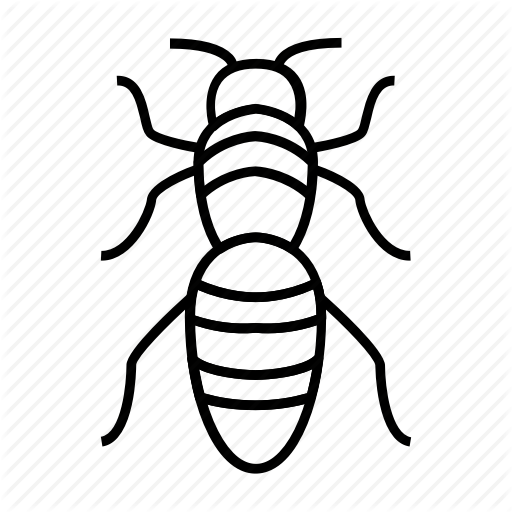 512x512 Drawing Insects Ground Beetle Transparent Png Clipart Free