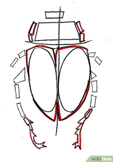 391x559 How To Draw A Scarab Beetle Steps
