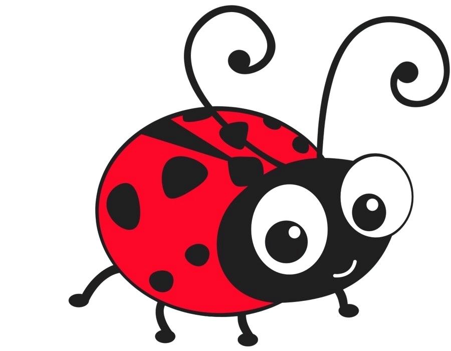 900x700 Lady Bug Drawings Lady Beetle Drawings