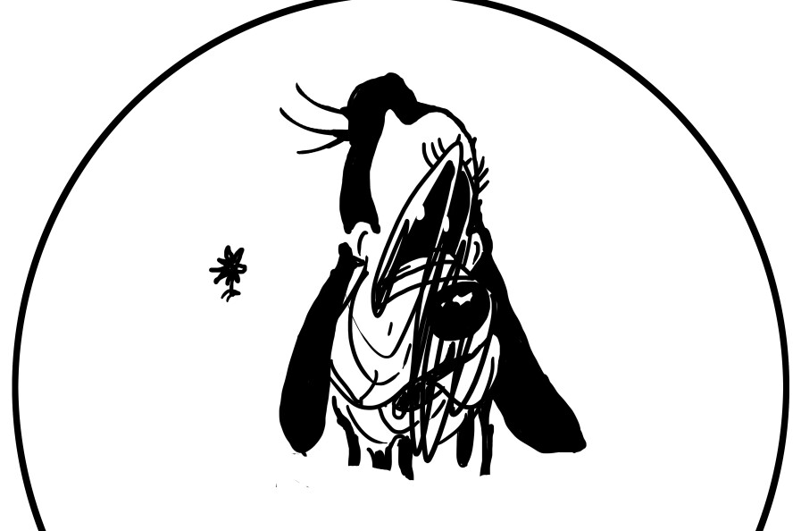 897x594 Why People Believe They Can't Draw