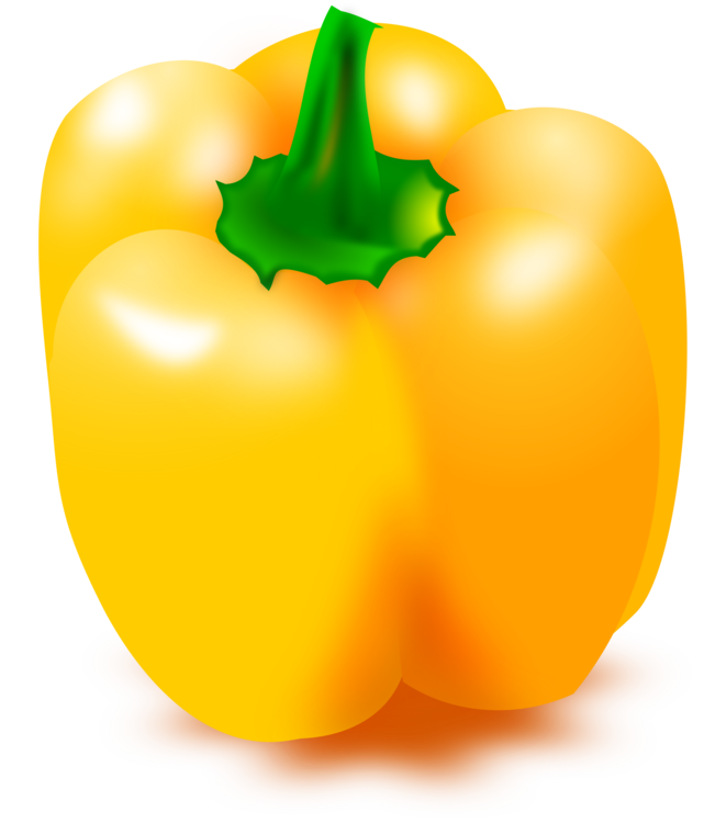 Bell Pepper Drawing